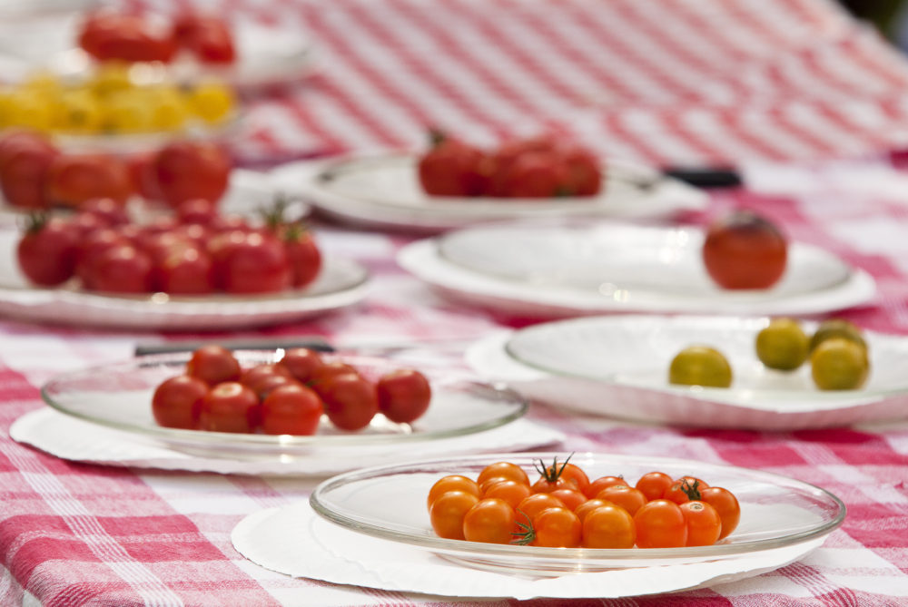 Lots of good tastes at yummy Tomato Feastival Tallahassee Table