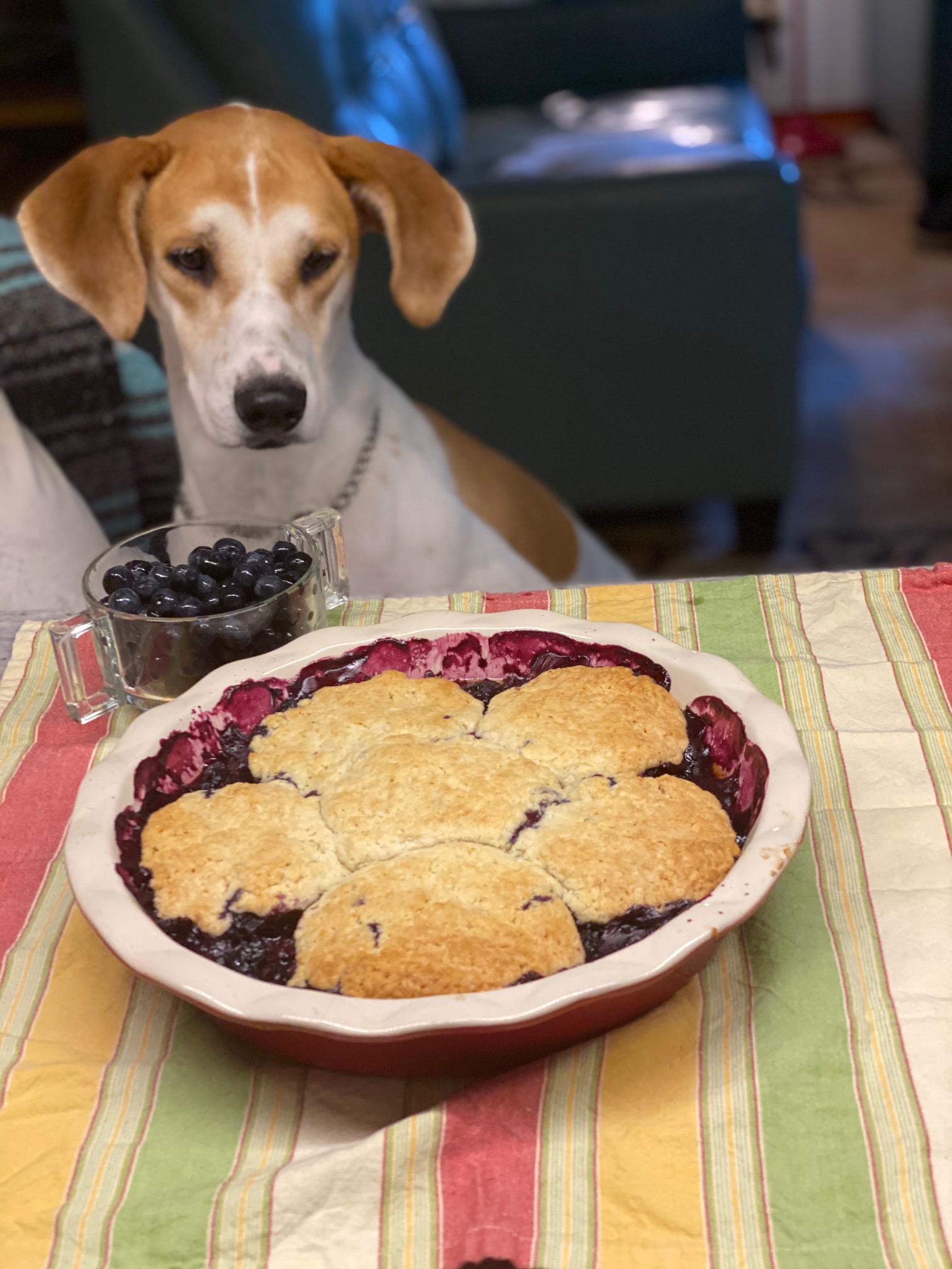 Blueberry cobbler from chez panisse tallahassee table
